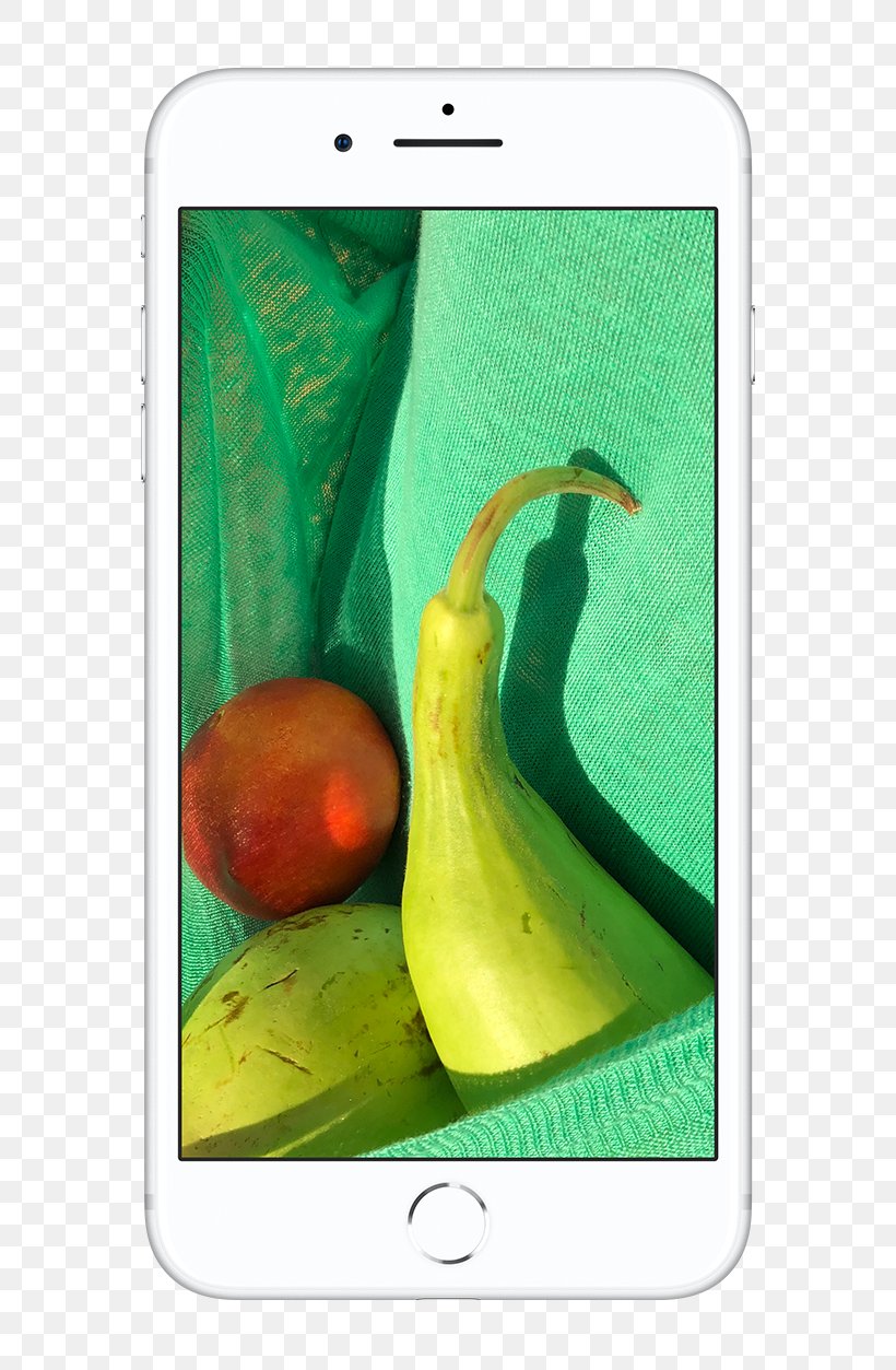 IPhone 8 Plus Apple Color Smartphone Gamut, PNG, 640x1253px, Iphone 8 Plus, Apple, Color, Fruit, Gamut Download Free