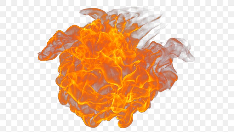 Fire Image Rendering Flame, PNG, 600x462px, 3d Computer Graphics, Fire, Conflagration, Cycles, Digital Photography Download Free
