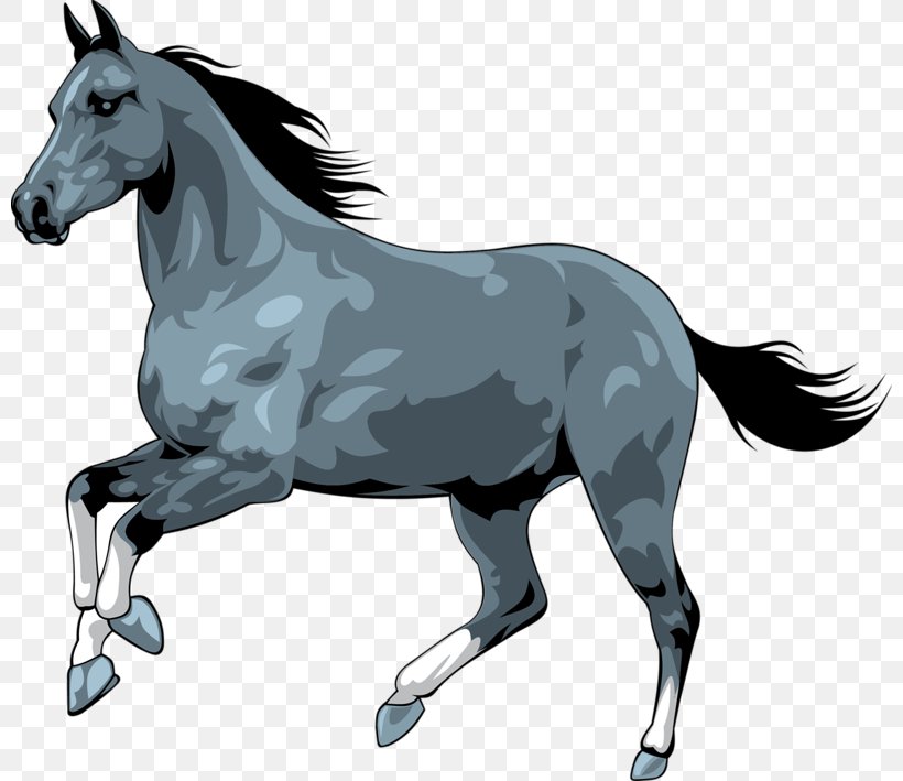 Horse Royalty-free Clip Art, PNG, 800x709px, Horse, Bridle, Canter And Gallop, Collection, Colt Download Free