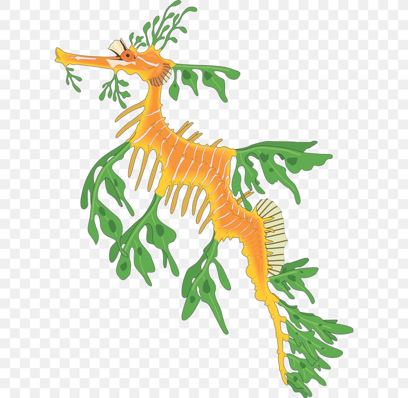 Leafy Seadragon Common Seadragon Seahorse Clip Art, PNG, 600x800px, Leafy Seadragon, Animal Figure, Art, Artwork, Branch Download Free