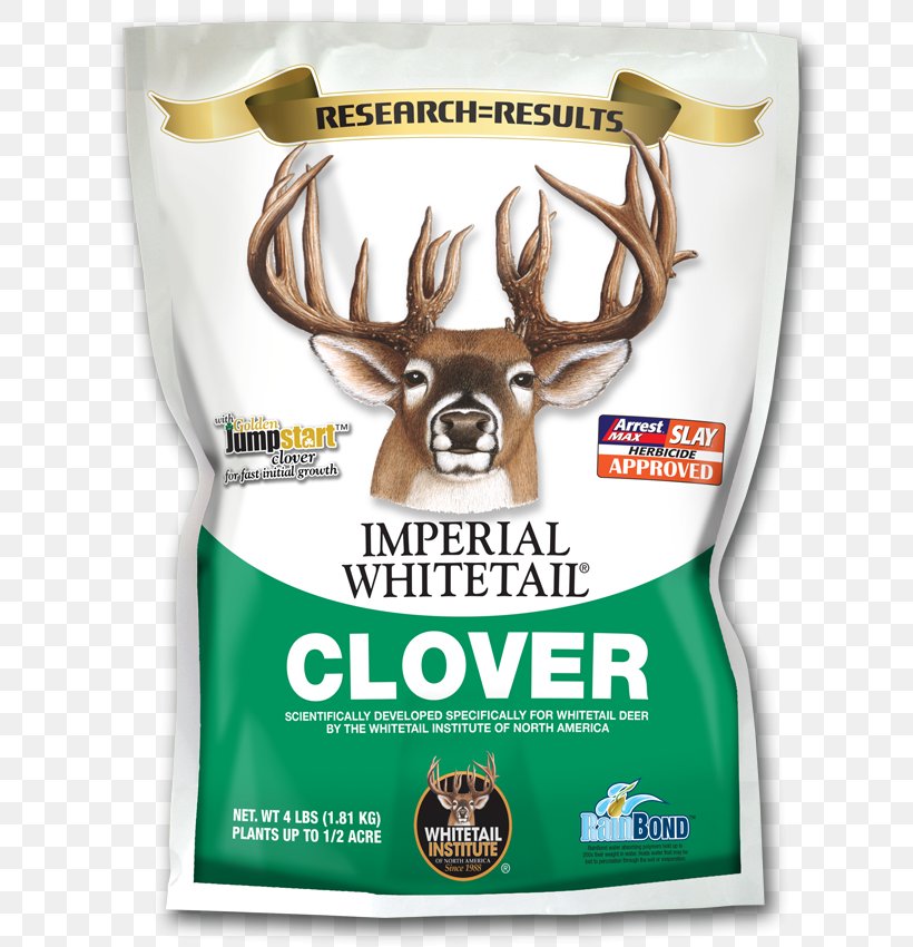 White-tailed Deer Food Plot Antler Seed, PNG, 677x850px, Whitetailed Deer, Antler, Brand, Chicory, Clover Download Free