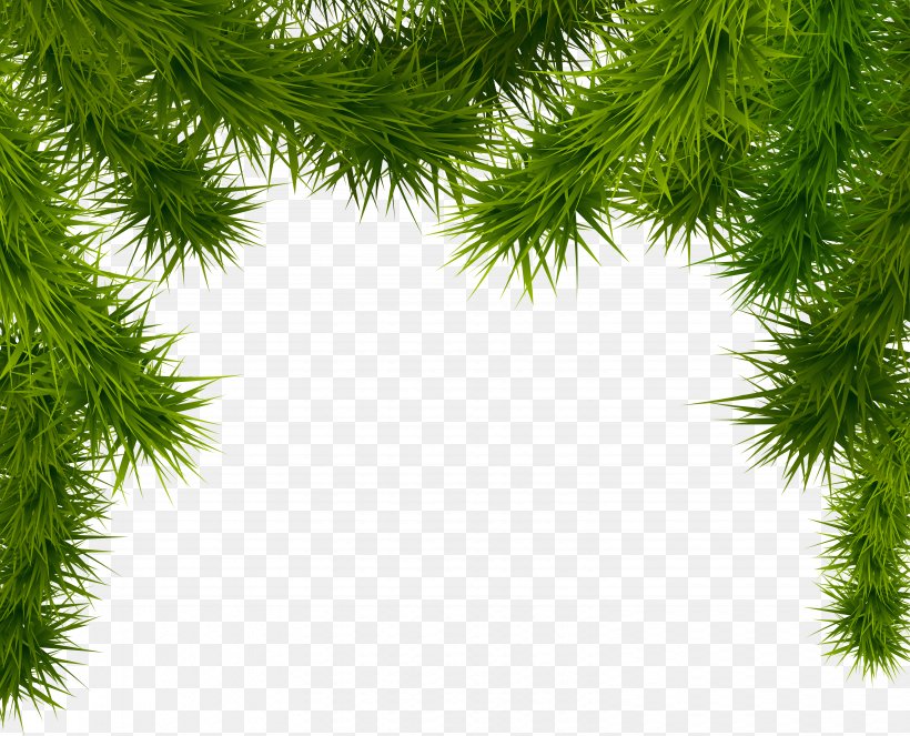 Christmas Tree Clip Art, PNG, 6118x4953px, Christmas, Biome, Branch, Christmas Card, Christmas Decoration Download Free