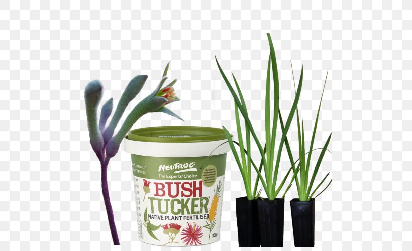 Flowerpot Garden Vine Amaryllis, PNG, 500x500px, Flowerpot, Amaryllis, Flower, Garden, Grass Download Free