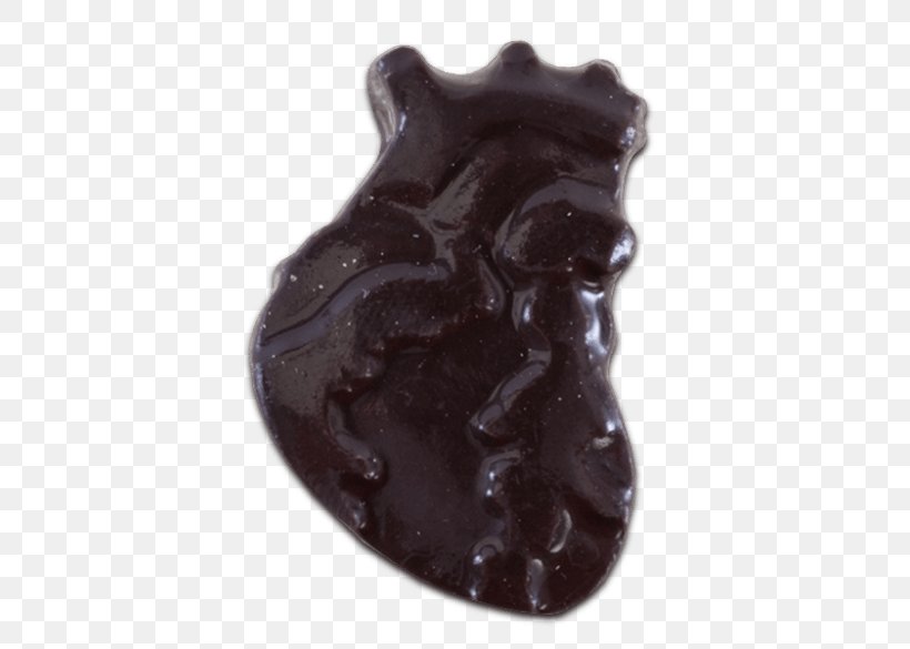 Gummi Candy Bonbon Chocolate Milk Bossche Bol, PNG, 585x585px, Gummi Candy, Anatomy, Bonbon, Bossche Bol, Cacao Tree Download Free
