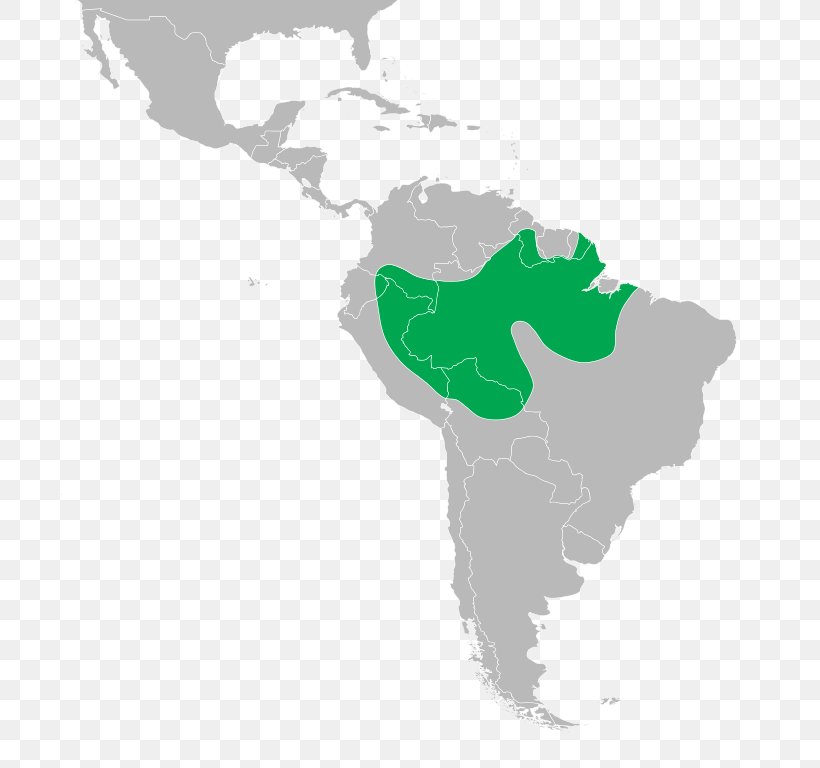 Latin America South America Hispanic America Map Geography, PNG, 710x768px, Latin America, Americas, Country, Geography, Green Download Free