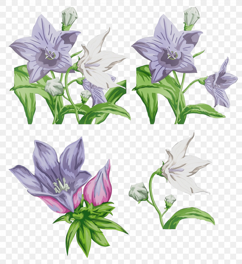 Lavender, PNG, 2289x2499px, Watercolor, Biology, Flower, Lavender, Lilac Download Free