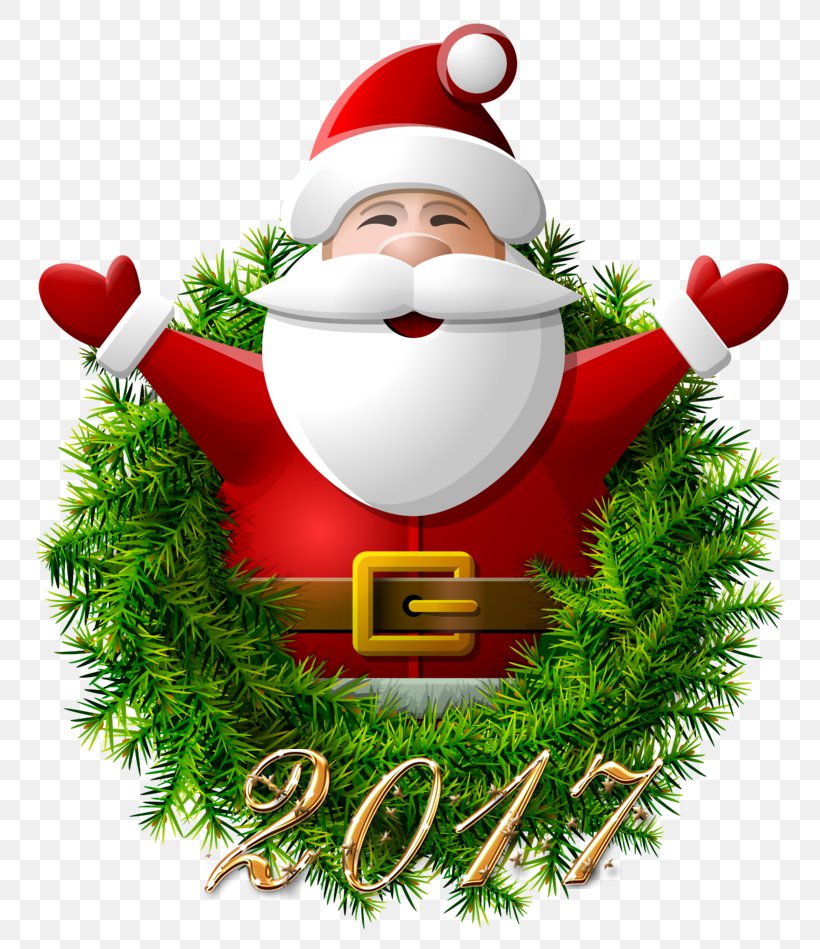 Santa Claus Christmas Day Party Child Christmas Decoration, PNG, 800x949px, Santa Claus, Child, Christmas, Christmas Day, Christmas Decoration Download Free