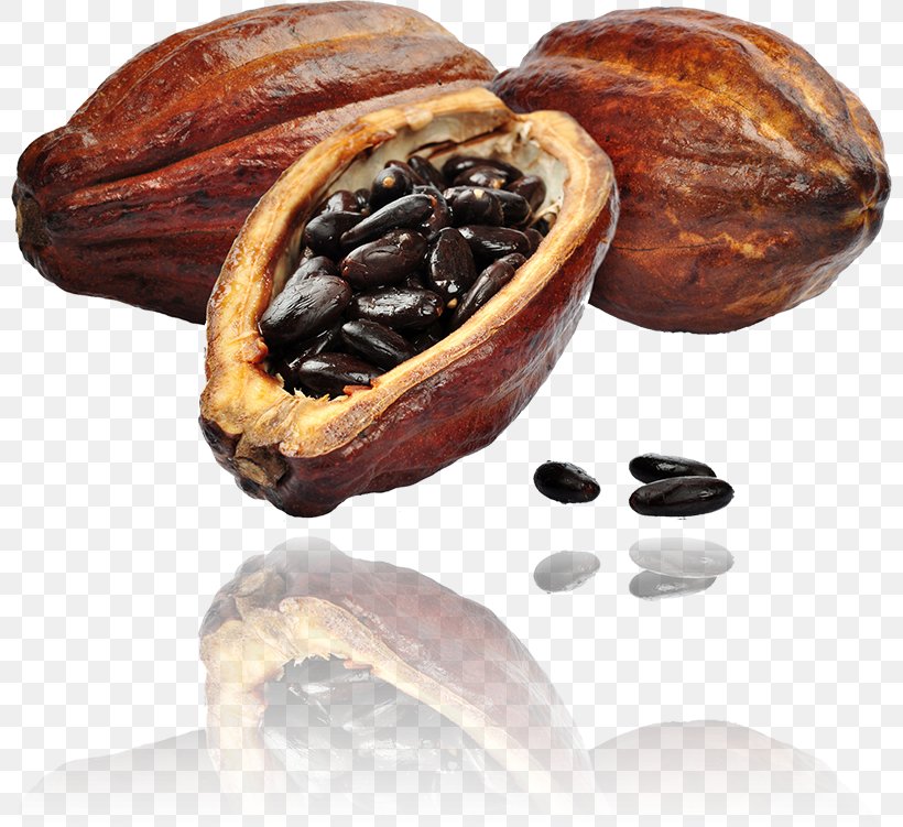 Cacao Tree Cocoa Bean Raw Chocolate Cocoa Solids, PNG, 800x751px, Cacao Tree, Can Stock Photo, Chocolate, Cocoa Bean, Cocoa Solids Download Free