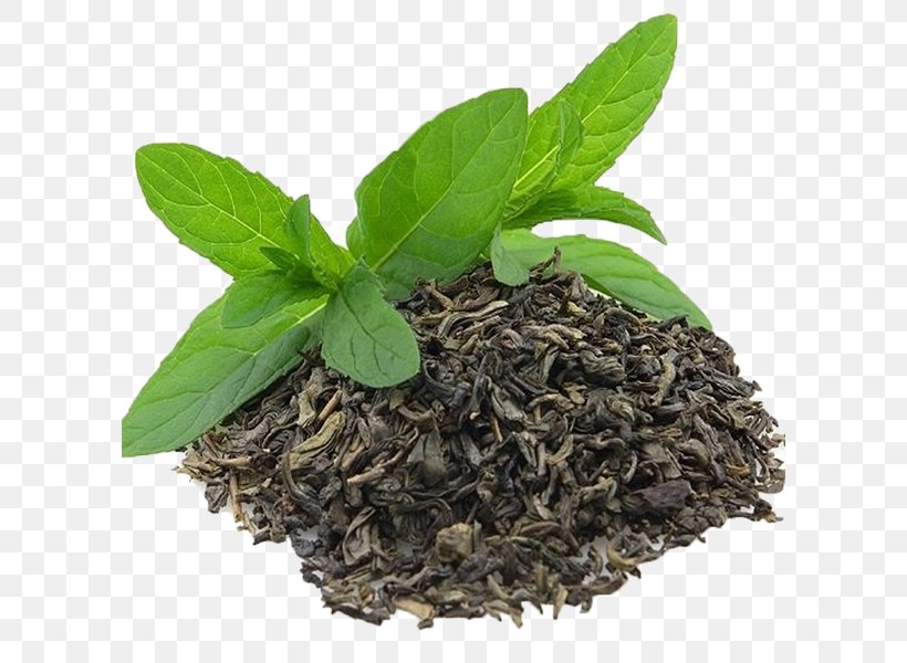 Green Tea Darjeeling White Tea Oolong Tea Leaf Grading, PNG, 600x600px, Green Tea, Assam Tea, Black Tea, Ceylon Tea, Crush Tear Curl Download Free