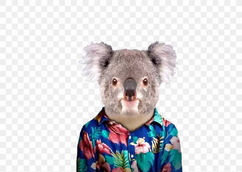 Koala T-shirt Zoo Portraits Spreadshirt, PNG, 903x642px, Watercolor, Cartoon, Flower, Frame, Heart Download Free