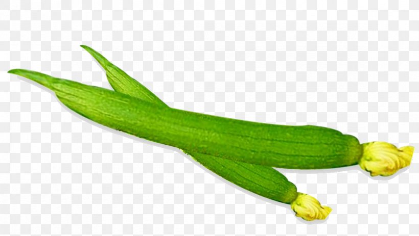 Luffa Vegetable Food Cooking Eating, PNG, 1173x663px, Luffa, Braising, Commodity, Cooking, Corn On The Cob Download Free