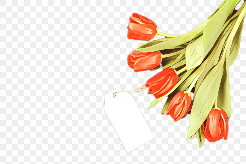 Peperoncini Plant Tabasco Pepper Malagueta Pepper Tulip, PNG, 2448x1632px, Peperoncini, Chili Pepper, Flower, Food, Malagueta Pepper Download Free