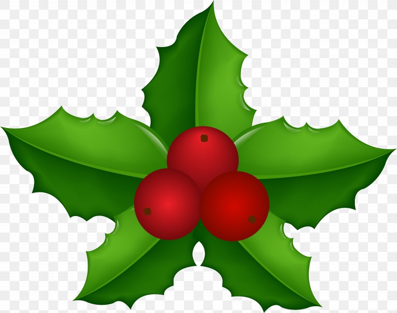 American Holly Common Holly Vector Graphics Royalty-free Stock Illustration, PNG, 8000x6305px, American Holly, Botany, Christmas Day, Christmas Tree, Common Holly Download Free