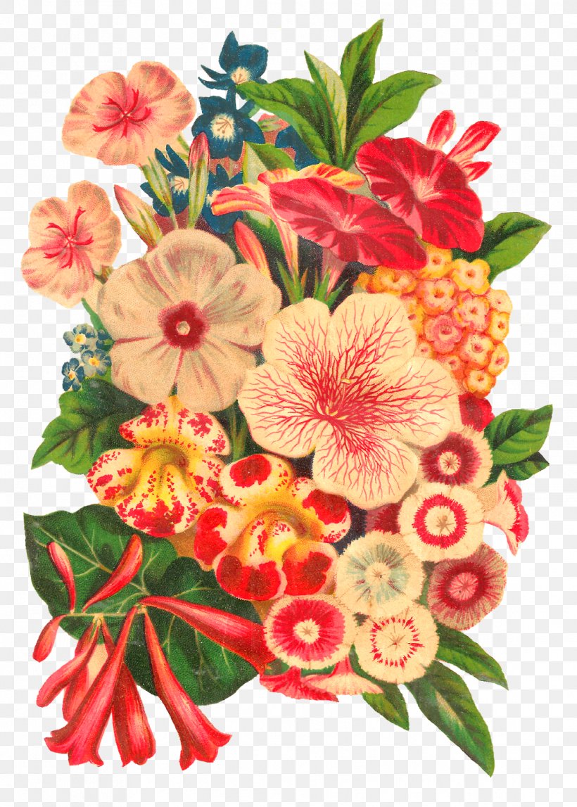 Flower Bouquet Floral Design Cut Flowers Botanical Illustration, PNG, 1143x1600px, Flower, Annual Plant, Biodiversity Heritage Library, Botanical Illustration, Botany Download Free