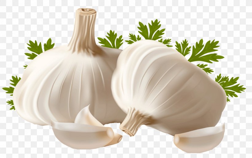 Garlic Bread Clip Art Vector Graphics, PNG, 957x600px, Garlic Bread, Allicin, Elephant Garlic, Food, Garlic Download Free