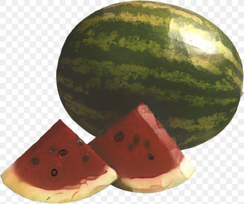Watermelon Cartoon, PNG, 1307x1096px, Watermelon, Citrullus, Dishware, Food, Fruit Download Free