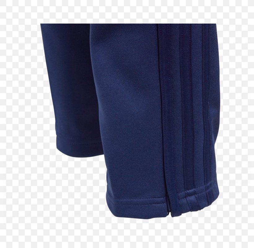 Cobalt Blue Waist Shorts, PNG, 800x800px, Cobalt Blue, Active Pants, Active Shorts, Blue, Cobalt Download Free