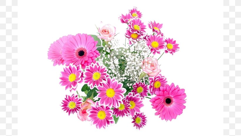 Image Clip Art Desktop Wallpaper Illustration, PNG, 700x463px, Floristry, Annual Plant, Aster, Birthday, Chrysanths Download Free