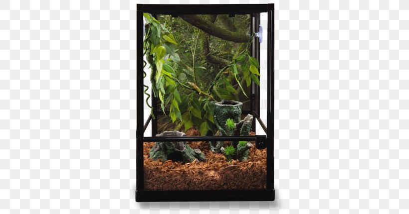 National Geographic Sanctuary Reptile Terrarium Exo Terra Glass Terrarium National Geographic Aquarium Filter, PNG, 700x430px, Aquarium, Aquarium Filters, Crested Gecko, Exo Terra, Fauna Download Free