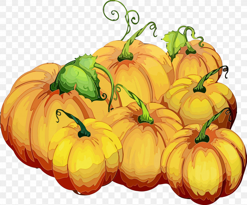 Pumpkin, PNG, 2861x2380px, Pumpkin, Autumn, Calabaza, Food, Fruit Download Free