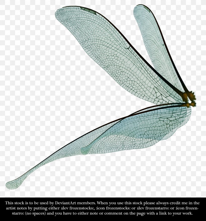Dragonfly Insect Wing Clip Art, PNG, 1024x1097px, Dragonfly, Fairy, Feather, Information, Insect Download Free