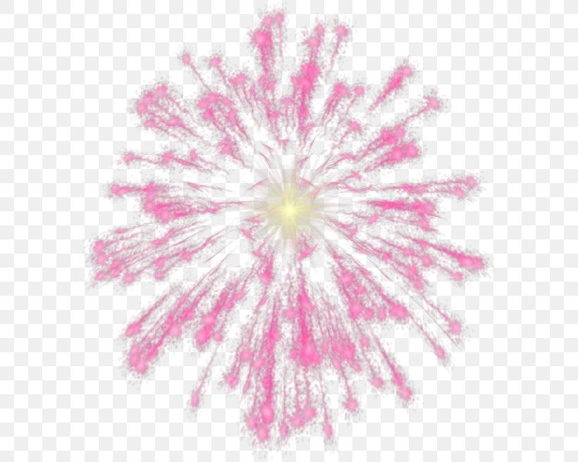 Fireworks Free Clip Art, PNG, 588x656px, Fireworks, Animation, Art, Flower, Flowering Plant Download Free