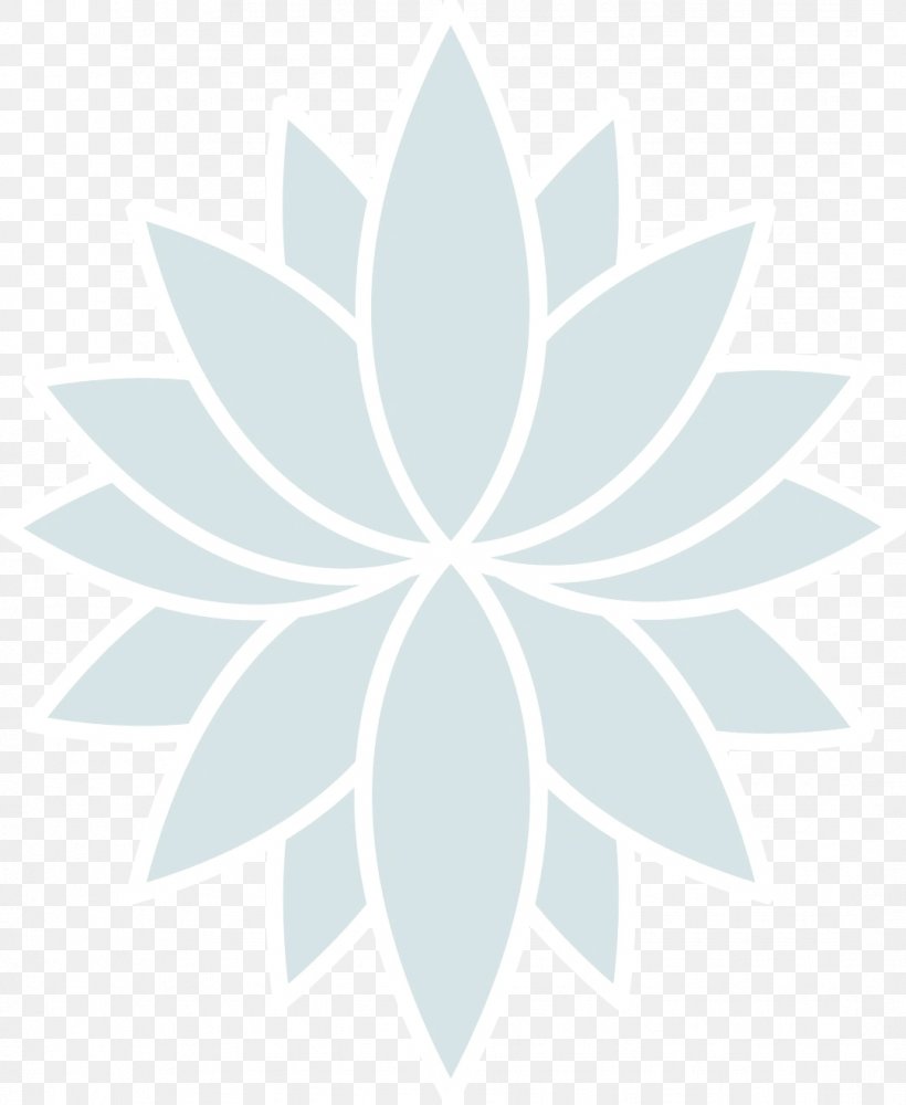 Flower White, PNG, 1081x1319px, Petal, Flower, Leaf, Meter, Plant Download Free
