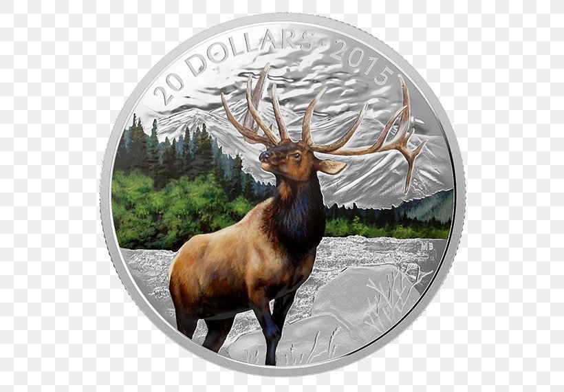 Majestic Elk Reindeer Antler, PNG, 570x570px, Elk, Antler, Bullion Coin, Canada, Coin Download Free