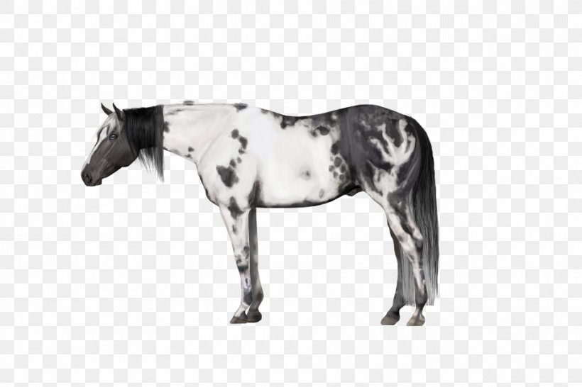 Mane Mustang Stallion Mare Rein, PNG, 960x640px, Mane, Animal Figure, Bit, Black And White, Bridle Download Free