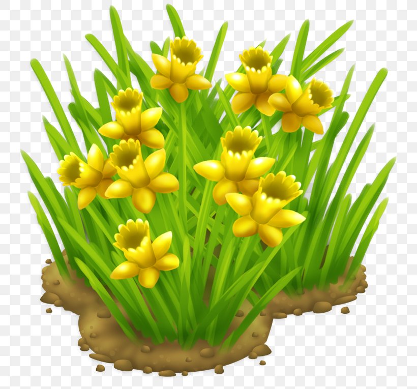 Plant Flower Grass Yellow Flowering Plant, PNG, 765x765px, Plant, Chives, Flower, Flowering Plant, Grass Download Free