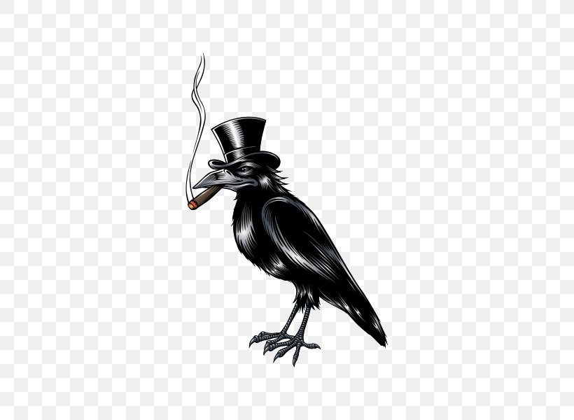 Bird Crow, PNG, 600x600px, Bird, Animal, Beak, Black And White, Cartoon Download Free
