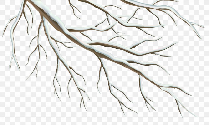 Branch Winter Clip Art, PNG, 6321x3791px, Branch, Black And White, Drawing, Flower, Illustration Download Free