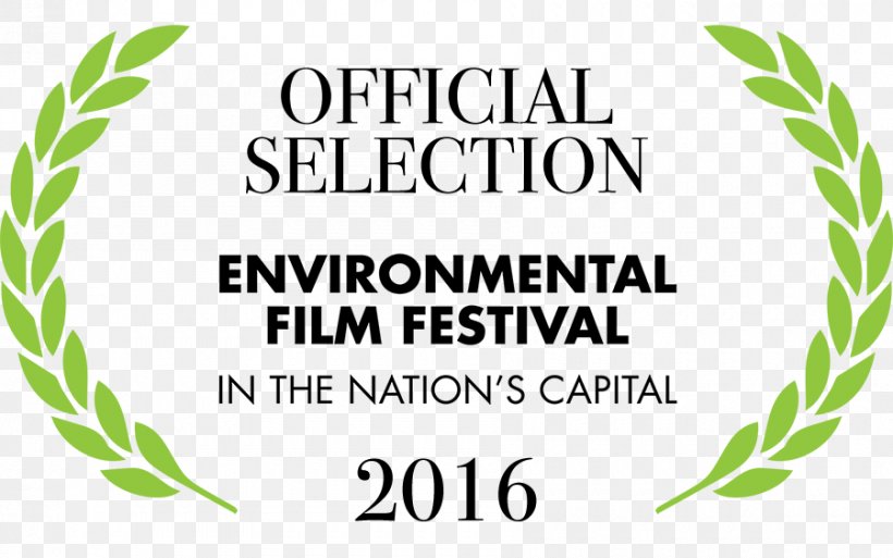 Environmental Film Festival Grasses, PNG, 900x564px, Film Festival, Area, Brand, Commodity, Festival Download Free