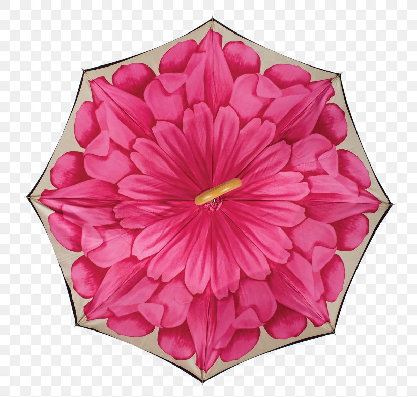 Floral Design Cut Flowers Dahlia Pink M, PNG, 768x782px, Floral Design, Cut Flowers, Dahlia, Floristry, Flower Download Free