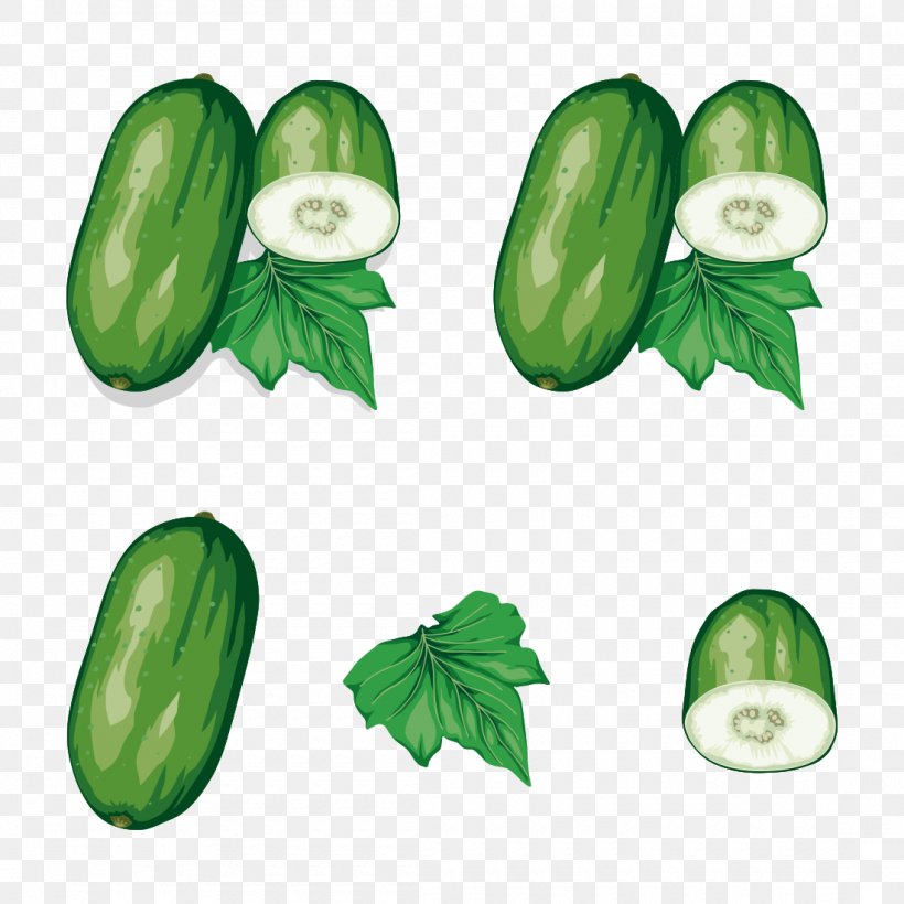 Flowering Tea Vegetable Wax Gourd Vector Graphics, PNG, 1100x1100px, Tea, Chayote, Cucumber, Cucumber Gourd And Melon Family, Cucumis Download Free