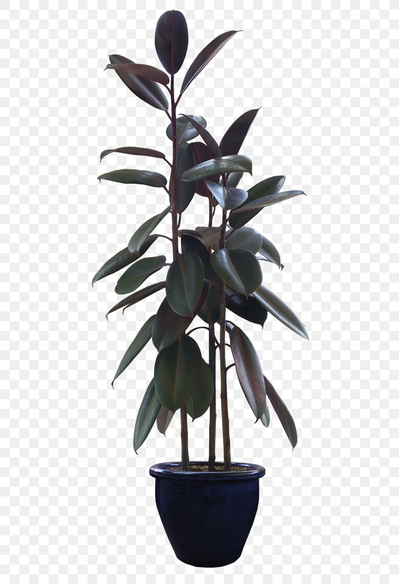 Flowerpot Bonsai, PNG, 480x1200px, Flowerpot, Adobe Imageready, Bonsai, Flower, Houseplant Download Free