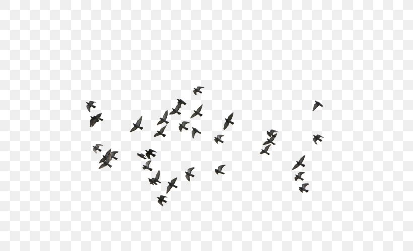Bird Flight, PNG, 500x500px, Bird, Animal Migration, Bird Flight, Bird Migration, Black And White Download Free
