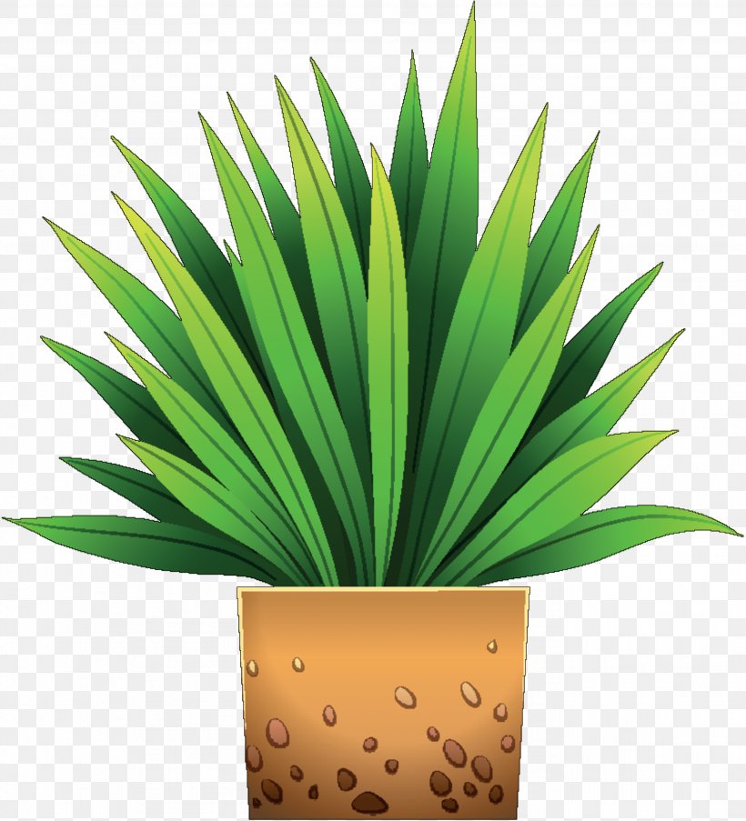 Flowerpot Houseplant Tree, PNG, 2723x3000px, Flowerpot, Agave, Arecales, Flower, Grass Download Free