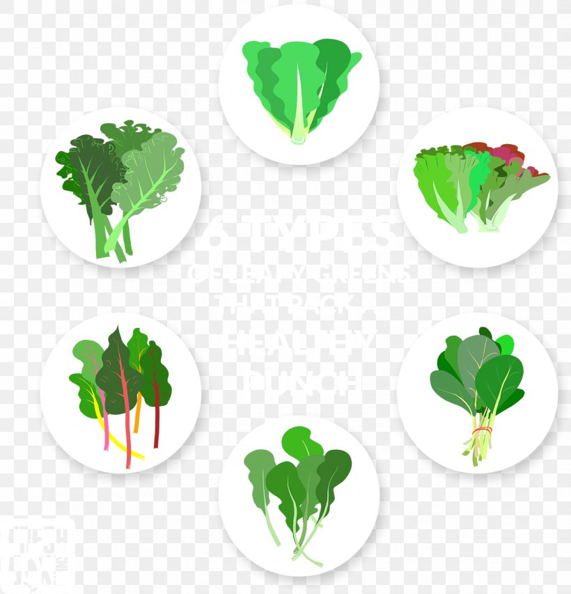 Leaf Vegetable Lettuce Collard Greens, PNG, 1338x1393px, Leaf Vegetable, Banana Leaf, Collard Greens, Cooking, Food Download Free