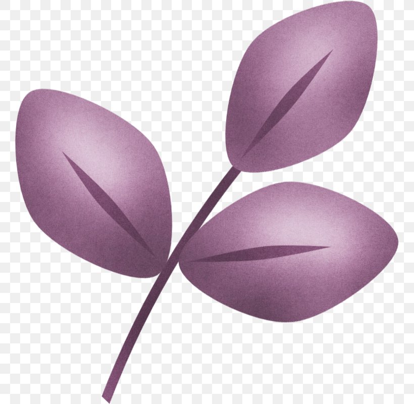 Plant, PNG, 761x800px, Plant, Lilac, Purple, Violet Download Free