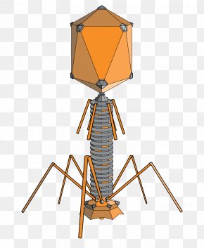 Material - Bacteriophage Phage Group Phage Therapy Bacteria Virus PNG