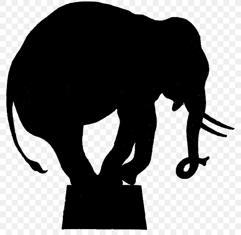 Circus Elephant Silhouette Clip Art, PNG, 778x800px, Circus, African Elephant, Big Cats, Black, Black And White Download Free