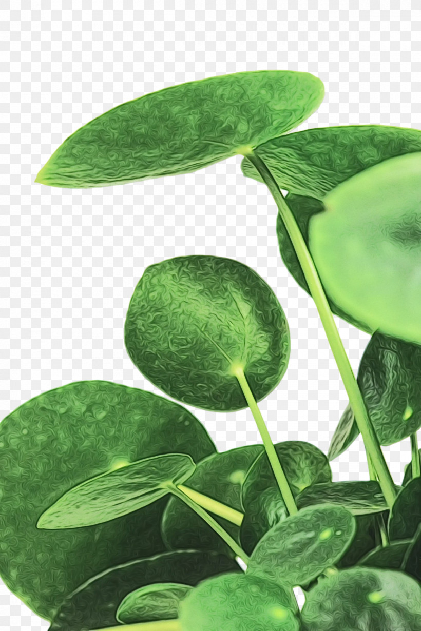 Leaf Plant Stem Green Plants Biology, PNG, 1200x1800px, Watercolor, Biology, Green, Leaf, Paint Download Free