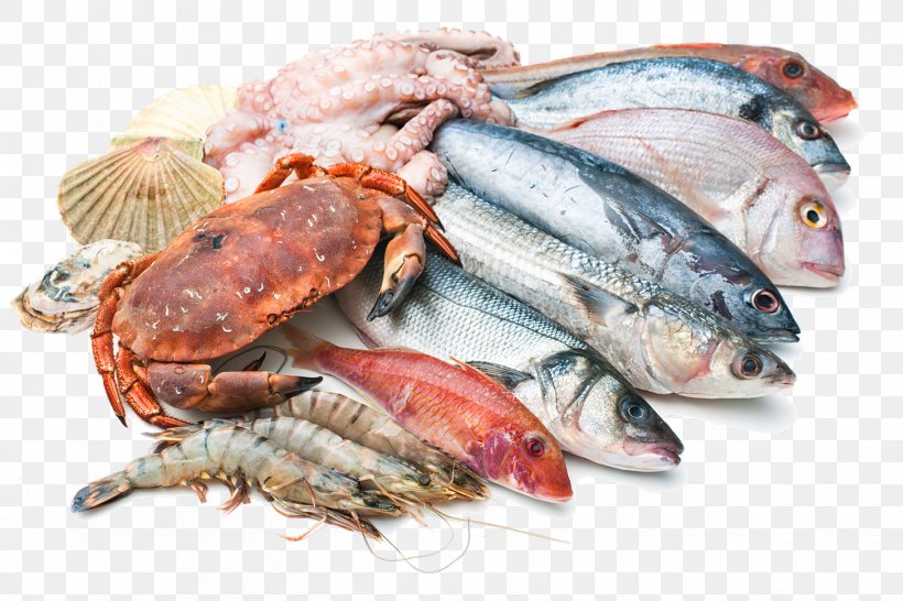 Seafood Fish Market Stock Photography, PNG, 1456x971px, Seafood, Animal Source Foods, Chicken As Food, Cooking, Fish Download Free