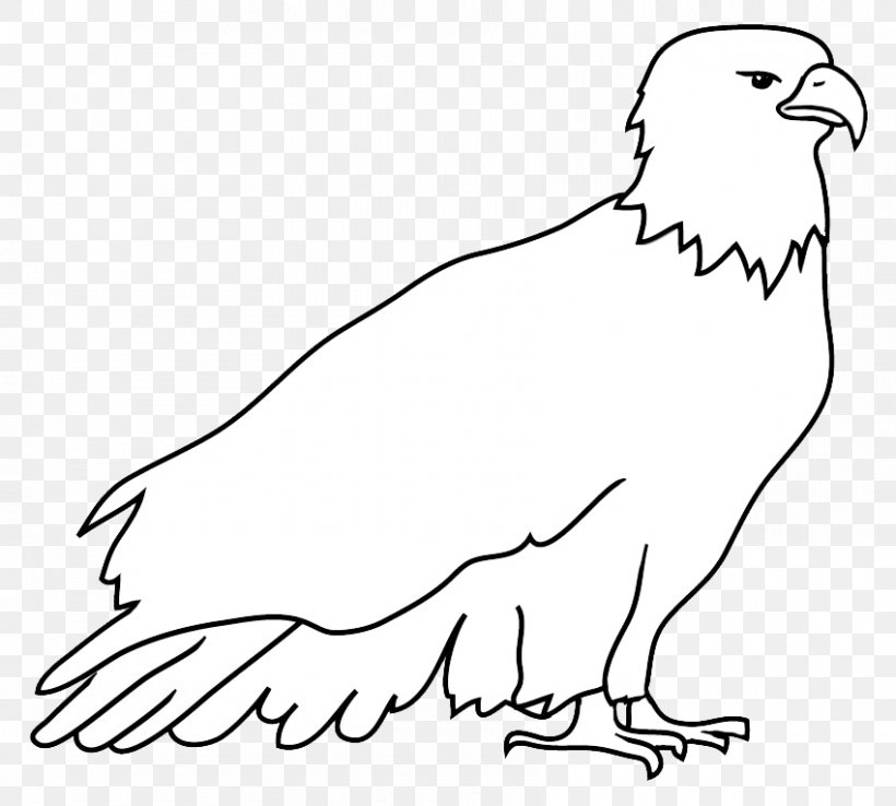 Bald Eagle Drawing Black And White, PNG, 850x765px, Bald Eagle, Area, Art, Beak, Bird Download Free