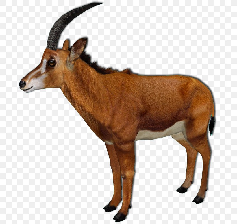 Impala Zoo Tycoon 2: Endangered Species Antelope Waterbuck Zoo Tycoon 2: African Adventure, PNG, 699x775px, Impala, Animal, Antelope, California Sea Lion, Cow Goat Family Download Free