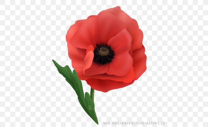 In Flanders Fields Museum Remembrance Poppy Common Poppy, PNG, 500x500px, In Flanders Fields, Anemone, Annual Plant, Author, Common Poppy Download Free
