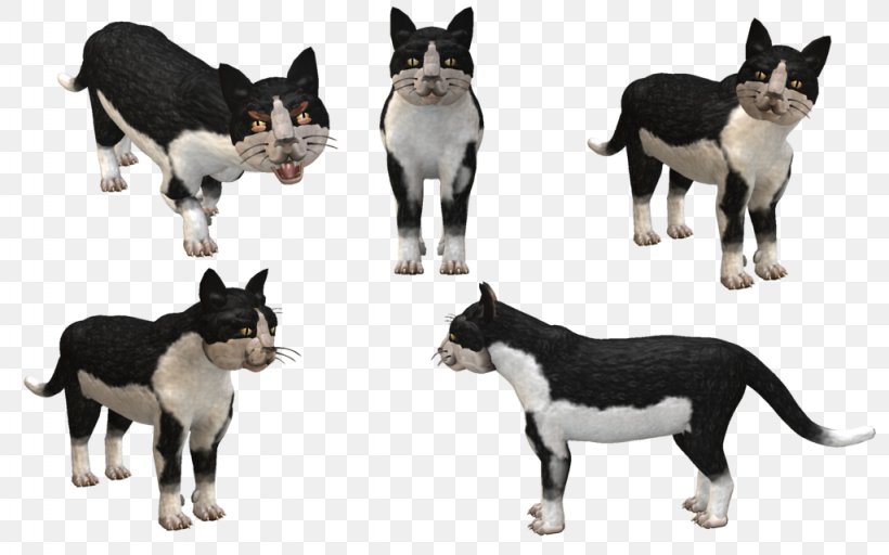 Spore Creatures Cat Spore Creature Creator Lapponian Herder, PNG, 1024x640px, Spore, Border Collie, Breed, Carnivoran, Cat Download Free