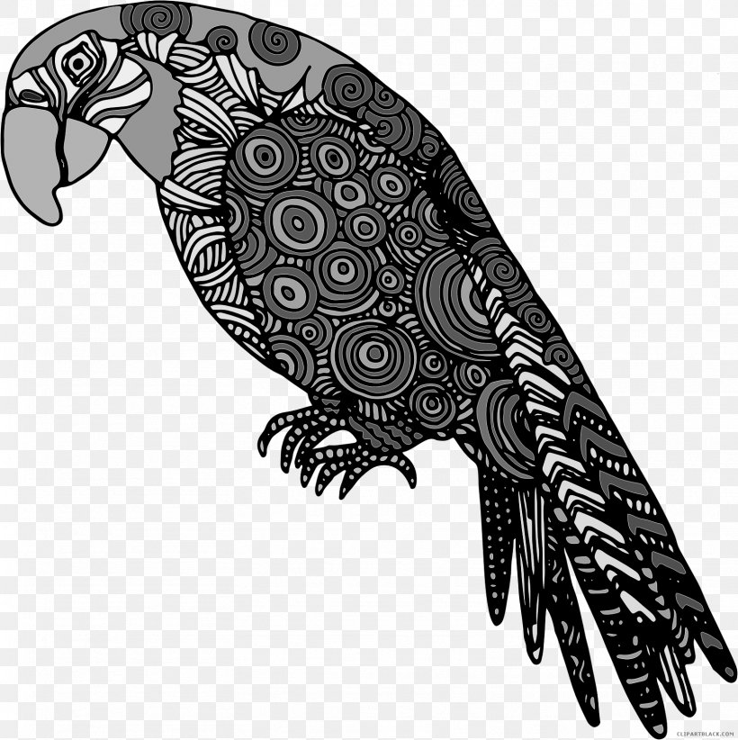 Budgerigar Vector Graphics Lovebird Fly: Parrot, PNG, 1613x1617px, Budgerigar, Art, Beak, Bird, Bird Of Prey Download Free
