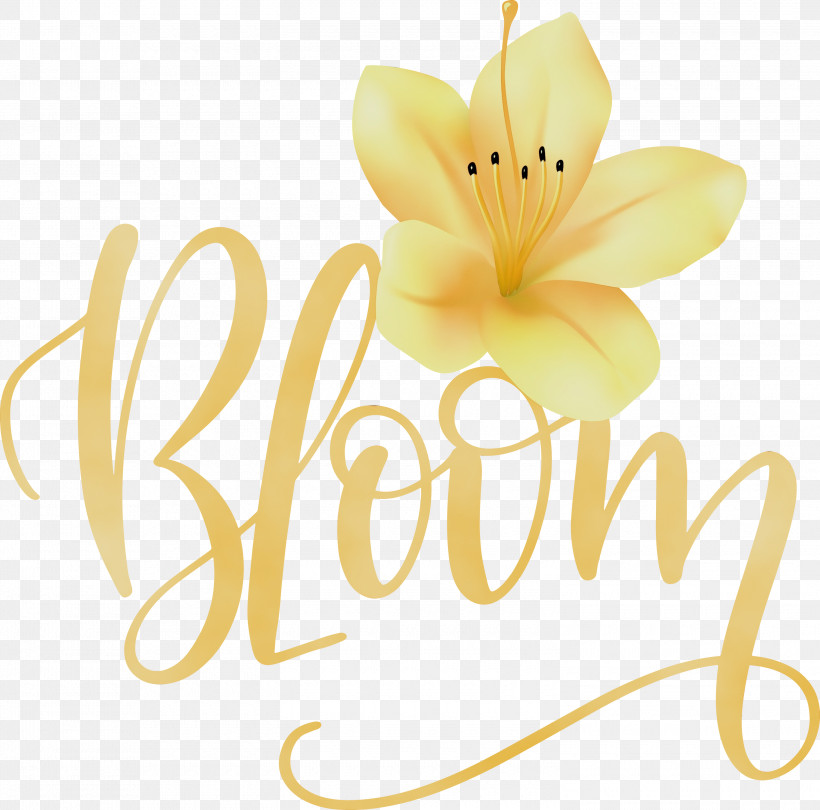 Cut Flowers Floristry Data Petal, PNG, 3000x2964px, Bloom, Cut Flowers, Data, Floristry, Menu Download Free